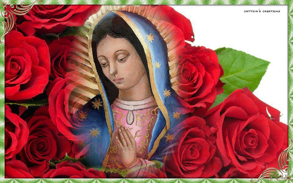 novena de la virgen de guadalupe