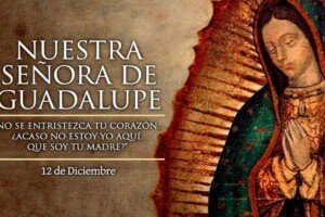 Frases de la Virgen de Guadalupe Frases de la Virgen de Guadalupe